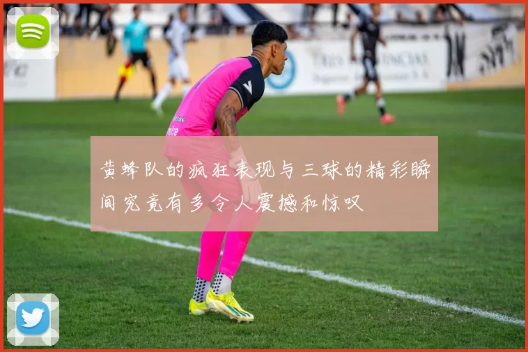 黄蜂队的疯狂表现与三球的精彩瞬间究竟有多令人震撼和惊叹