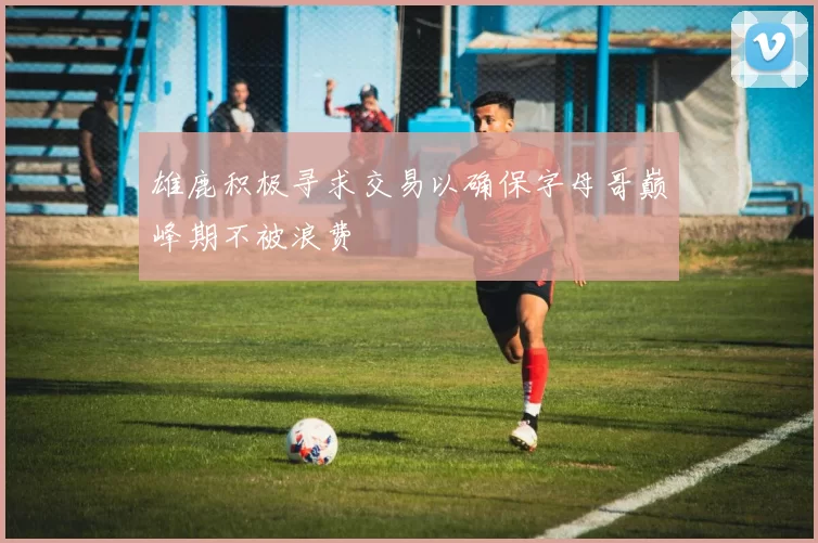 雄鹿积极寻求交易以确保字母哥巅峰期不被浪费